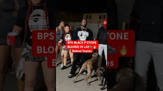 BPS BLOODS BLACK P STONES IN LA🦍🎬🔥 trending bts shorts losangeles viralshorts fyp explore [upl. by Reiners]