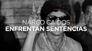 Los Señores del narco narcoland Audiolibro de Anabel Hernández [upl. by Atirehc]