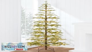 Best Choice Products PreLit Sparse Christmas Tree 6ft Artificial Pine Holiday Décor Review [upl. by Ahseihs]