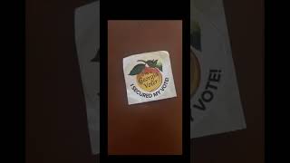 I voted today in Georgia for the person who did not incite an insurrection on January 6 2021 vote [upl. by Evets]