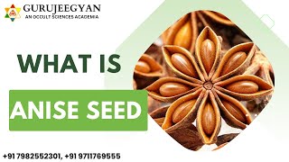 What is Anise Seed  herbs [upl. by Powe]