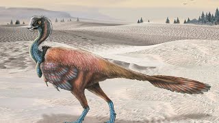 Unraveling the Oviraptor The Misunderstood Dinosaur [upl. by Olimpia447]