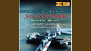 Jesu meine Freude BWV 227 Jesu meine Freude [upl. by Nojed]