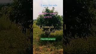 2 acres mango garden for sale clear title property9441264411 [upl. by Nesaj113]