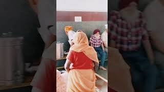 Langar satwinder bitti  Langar Sewa [upl. by Ephrayim530]