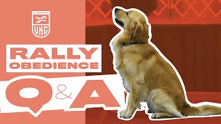 UKC Rally Obedience Q amp A  New Changes and Updates [upl. by Arbba]