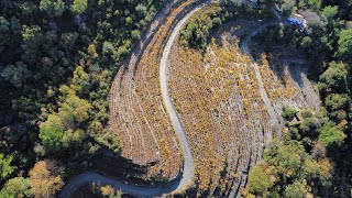 Samos Hiking  Route 23A amp 25A  Vourliotes [upl. by Modla475]