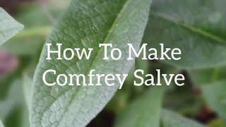 How To Make Comfrey Salve [upl. by Enoob261]