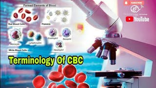 Terminology Of Complete Blood Count CBC Morphology  Microscopy [upl. by Rohpotsirhc]