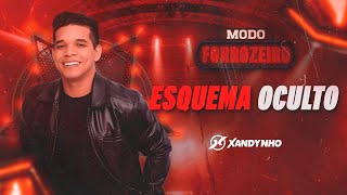 Xandynho  Esquema Oculto  Lyric Video [upl. by Alvy555]