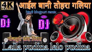 Laila pudina lelo pudinahindi bhojpuri remixbhojpuri Songआईल बानी तोहरा गलिया [upl. by Hibbs]