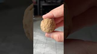 Super Squishy Silicone Walnut [upl. by Ahsinauj955]