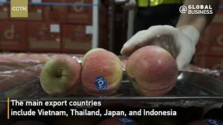 Fruit frenzy Chinese fruits sell well in Southeast Asian countries [upl. by Jannel]