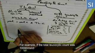 Relative and absolute leukocytes counts [upl. by Aleekat]