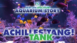 Achilles Tang Tank 2000 gallons amp fed NLS [upl. by Atterol353]