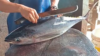 Tuna Fish Cutting for Family Fish Grill Event Live 🔥🔪🔥16 Nov 24 [upl. by Eardnoed]