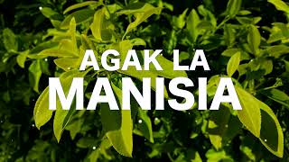 AGAK LA MANISIA lyrics  Pangasinan Song [upl. by Itsur411]