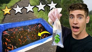 CHEAPEST AQUARIUM FISH SELLER ON THE STREET unbelievable find [upl. by Linis]