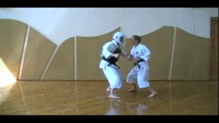 Shorinji Kempo Techniques  2 Kyu Juho [upl. by Dysart696]