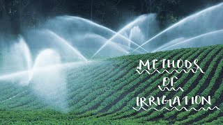 Class9 Biology Improvement in Food Resources Methods of Irrigation [upl. by Noiz]