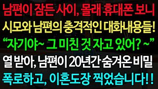 실화사연남편이 잠든 사이 몰래 휴대폰 보니 시모와 남편의 충격적인 대화내용들 “자기야 그 미친 것 자고 있어” 열 받아 남편이 20년간 숨겨온 비밀 폭로하고 이혼도장 찍었습니다 [upl. by Greerson153]