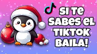 Si Te Sabes El Tiktok Baila  2024🎄 [upl. by Adnohsek]