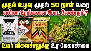 அடி உரத்திற்கு முக்கியமா போடவேண்டிய 6 உரங்கள் DAP  SSP  UREA  VAM  FACTAMFOS  GYPSUM  TCG [upl. by Loredo465]