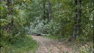 Clearing the road from Helene damage on the farm [upl. by Earased351]