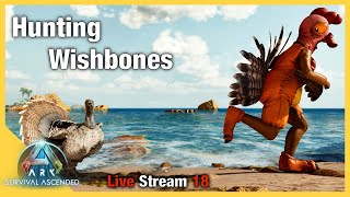 Ark Survival Ascended  Hunting Turkeys for Wishbones  Ep 18 [upl. by Adriel]