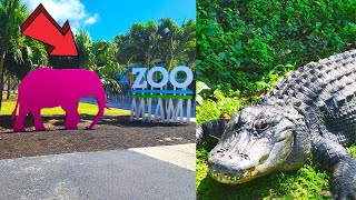 Miami Zoo Florida Walking Tour [upl. by Reivax319]