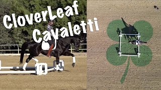 Suppleness with Cavaletti Training [upl. by Richie]