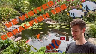 Exclusive Tour with quotGeorge Mavrakisquot Amazing Ponds and Aquariums [upl. by Eilrebmik985]