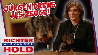 Jürgen Drews als Zeuge 🤩 Und er kommt nicht allein 🐶  Richter Alexander Hold [upl. by Vachel246]