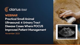 4 Urinary Tract Disease Cases Where POCUS Improved Patient Management [upl. by Kirit396]