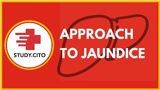 Approach to Jaundice  CITO Free Class [upl. by Marwin]