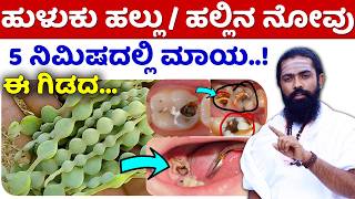 Hallu Novu Home Remedies in Kannada  Hallu Novige Mane Maddu Kannada  Huluku Hallige Mane Maddu [upl. by Liatnahs413]