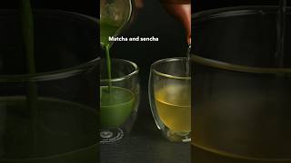 Whats The Difference Between Sencha and Matcha sencha [upl. by Lodovico687]