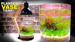 Aquascape Tutorial Vase Aquarium How To Step by Step No Filter Planted Tank Guide [upl. by Akived]