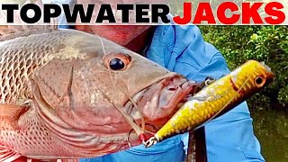 Mangrove Jack Tactics  Topwater Lures and How To Fish Them [upl. by Allenrac617]