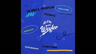 MIX TATTO LA UNICA TROPICAL  PAPILLON  MALLANEP  STANY BAND  KALIENTE  ROSADO  DJ WEYLER 2K24 [upl. by Assenaj]