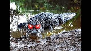 Crocodilians Edit [upl. by Divadnahtanoj]