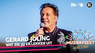 Gerard Joling  Wat zie jij er lekker uit • Muziekfeest op het Plein 2022  Sterren NL [upl. by Weiser]