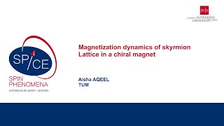 Talks  Spin textures Magnetism meets Plasmonics 2024  Aisha AQEEL TUM [upl. by Jarib856]