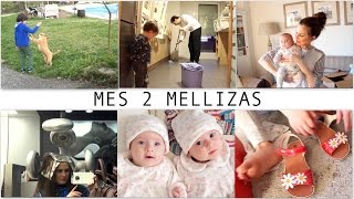 VLOG MES 2 MELLIZAS  Abril 2016  Unboxing zapatos  Mientras falta mamÃ¡  Cambio de look [upl. by Leimaj]