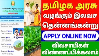 ❗இலவசமாக coconut tree tamil nadu  tamil nadu government free coconut tree scheme 2022  tn scheme [upl. by Humpage]