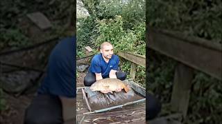 Catching My Biggest Carp Ever fishing shorts [upl. by Irmgard133]