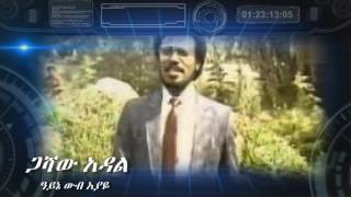 Gashaw Adal ዓይኔ ውብ እያዬ Ayne Wub Eyaye [upl. by Imre]