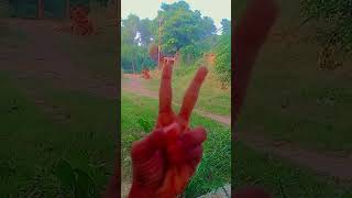 Dheeme dheeme newsong remix views viralvideo trending hand suhima handdance public song [upl. by Demona]