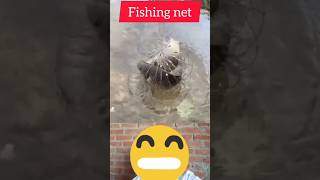 Fishing net  Folding net viral [upl. by Daniella]