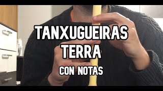 Como tocar Terra de Tanxugueiras en flauta dulce [upl. by Pelage]